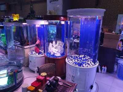 淮陽(yáng)市海公主水族制品有限公司水族制品有限公司提供多款魚(yú)缸服務(wù)：南陽(yáng)市海公主水族制品公司