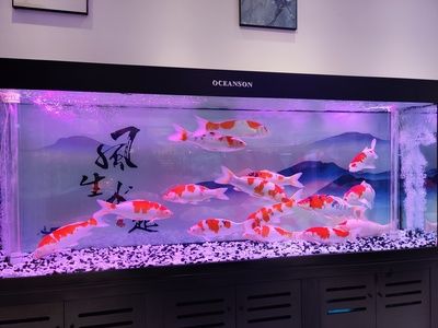 底濾魚缸養小魚被水泵吸走是一個常見問題的解決方案：如何解決底濾魚缸養小魚小魚被吸問題