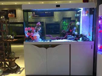 住宅魚缸擺放在什么位置最好,周易（住宅魚缸擺放在客廳哪個角落好魚缸與爐灶沖突的化解方法）