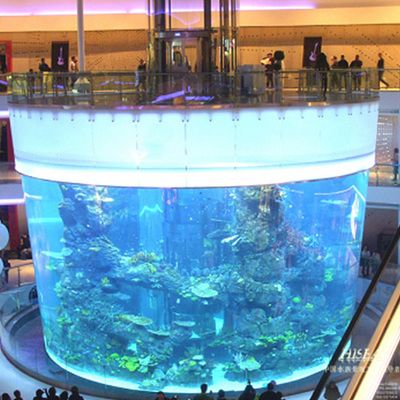 海水景觀魚缸設計的技巧：關于海水景觀魚缸設計的一些搜索結果