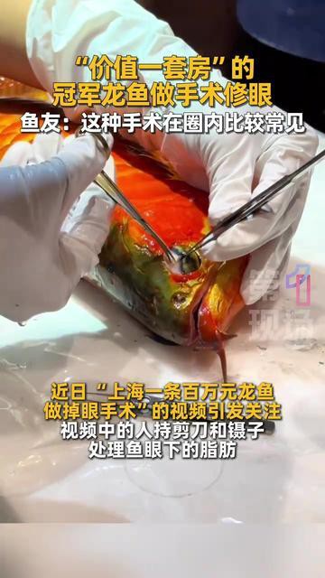 天津龍魚掉眼手術
