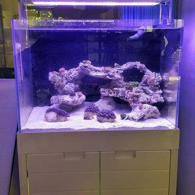 過濾器魚缸內置（自制魚缸過濾器的優缺點）