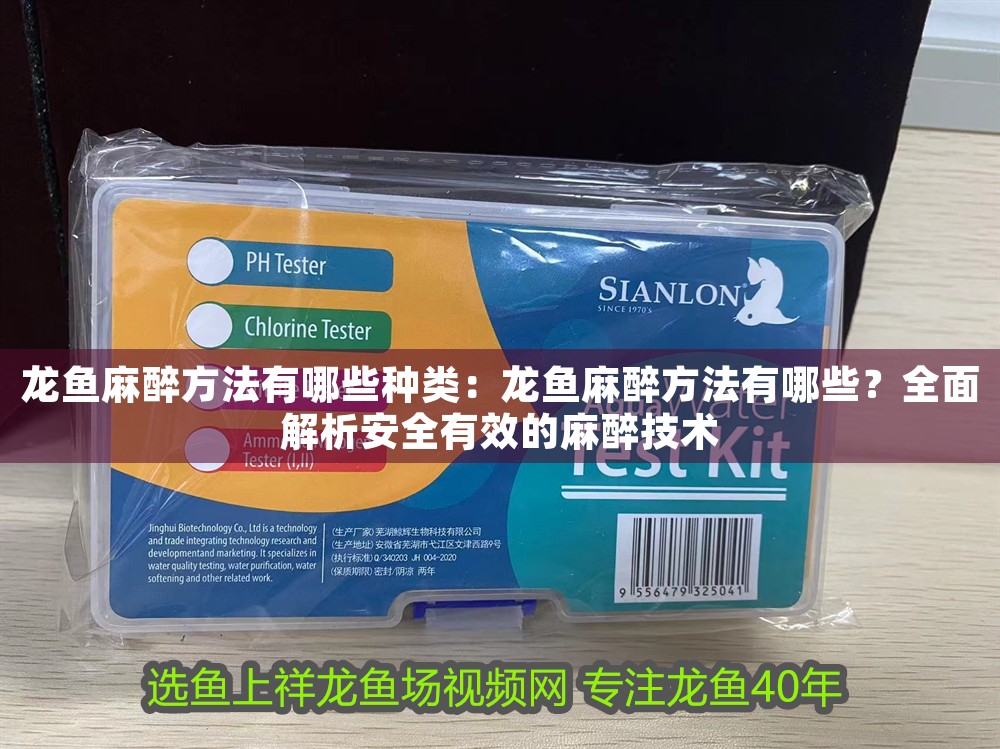 龍魚麻醉方法有哪些種類：龍魚麻醉方法有哪些？全面解析安全有效的麻醉技術