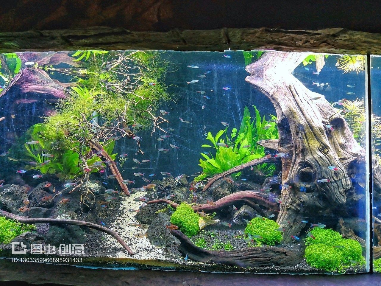 海底世界的藝術魅力海底世界魚缸造景魚缸設計圖：關于海底世界造景魚缸設計圖