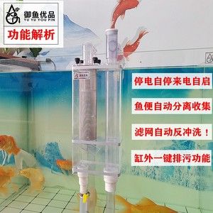 魚缸虹吸噪音大如何解決小妙招：魚缸虹吸噪音大怎么辦