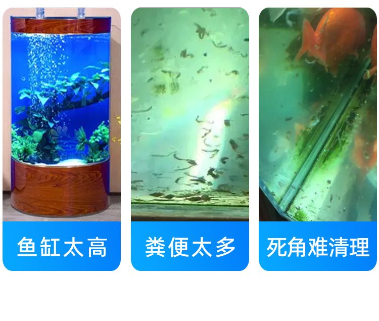 魚缸虹吸噪音大如何解決小妙招：魚缸虹吸噪音大怎么辦