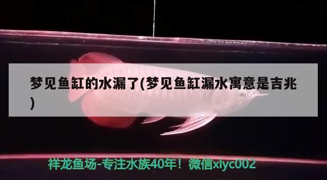 夢見魚缸漏水了魚還在游：夢境分析：夢見魚缸漏水財運變化案例,孕婦夢見漏水魚活寓意解析