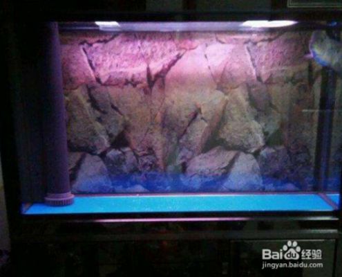 森森魚缸聲音大怎么解決（如何降低魚缸水流噪音）