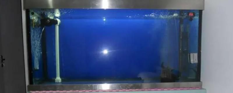 魚缸虹吸現象怎么解決（如何解決魚缸虹吸現象）