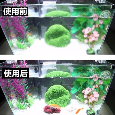 魚缸與過濾桶的搭配藝術(shù)：水族箱生態(tài)系統(tǒng)揭秘水族箱生態(tài)系統(tǒng)揭秘水族箱生態(tài)系統(tǒng)