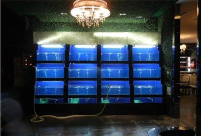 海鮮魚缸的溫度管理是確保海鮮存活的關鍵因素之一：海鮮養殖的溫度管理是確保海鮮存活的關鍵因素之一