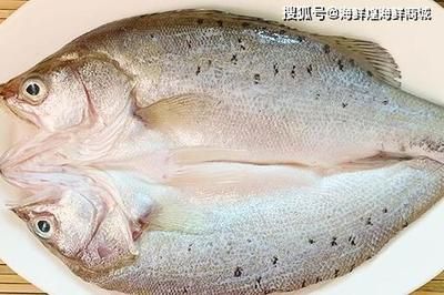 海水魚缸的養護技巧養護技巧海水魚缸的養護技巧：養海魚可以使用海水嗎？