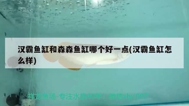 漢霸魚缸好不好：漢霸魚缸品牌性價比排行森森魚缸優點和缺點