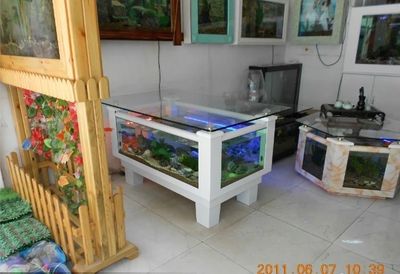 修魚缸電話附近100米（修魚缸電話附近）