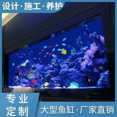 海東魚缸定做，海東地區(qū)的魚缸定做服務(wù)獨具特色