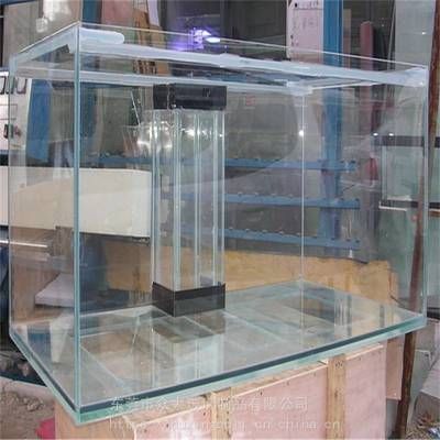 鋼化玻璃魚缸的價格因尺寸、材質等因素而異：如何選擇適合的鋼化玻璃魚缸 鋼化玻璃魚缸的價格因尺寸、材質等因素而異：如何選擇適合的鋼化玻璃魚缸 魚缸百科 第2張