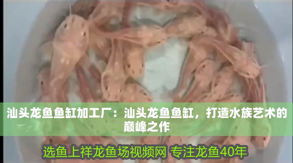 汕頭龍魚魚缸加工廠：汕頭龍魚魚缸，打造水族藝術(shù)的巔峰之作 汕頭龍魚魚缸加工廠：汕頭龍魚魚缸，打造水族藝術(shù)的巔峰之作 魚缸百科 第1張