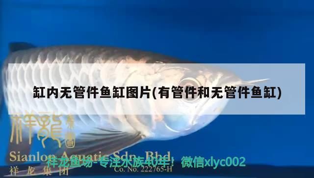 閩江魚缸公司官網地址在哪里：關于閩江魚缸公司官網地址的建議