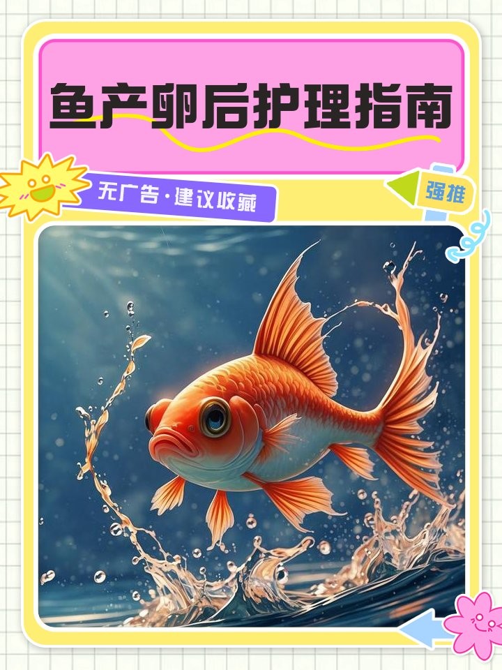 銀龍魚產(chǎn)卵后怎么處理