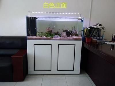 魚缸定制圖片大全集（家庭魚缸定制圖片大全） 魚缸定制圖片大全集（家庭魚缸定制圖片大全） 魚缸百科 第1張