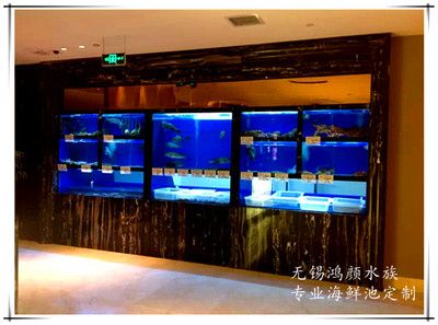 魚缸定制圖片大全集（家庭魚缸定制圖片大全） 魚缸定制圖片大全集（家庭魚缸定制圖片大全） 魚缸百科 第3張