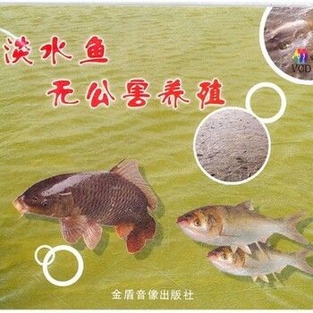 淡水魚魚缸混養的注意事項：淡水魚混養的注意事項