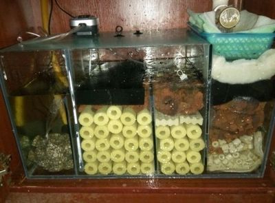 魚缸的設(shè)備怎么安裝步驟：魚缸安裝步驟包括選擇合適的魚缸位置、連接水系統(tǒng)、水質(zhì)測(cè)試