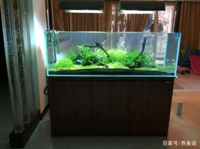 魚缸的設(shè)備怎么安裝步驟：魚缸安裝步驟包括選擇合適的魚缸位置、連接水系統(tǒng)、水質(zhì)測(cè)試