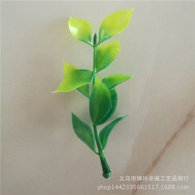 魚缸草缸圖片（水草缸造景技巧魚缸水草養(yǎng)護要點不同風(fēng)格魚缸設(shè)計）