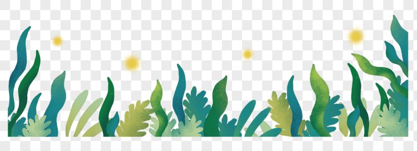 魚缸草缸圖片（水草缸造景技巧魚缸水草養(yǎng)護要點不同風(fēng)格魚缸設(shè)計）