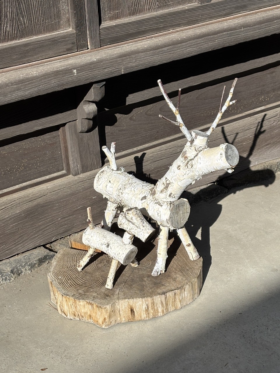 應(yīng)材施藝 應(yīng)材施藝 龍魚論壇