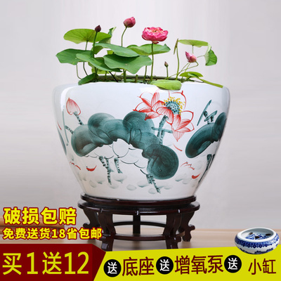西峰綠芙蓉水族（車間嚇一跳事件分享）