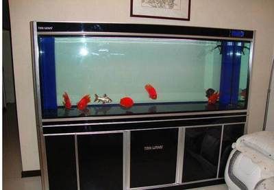 店鋪魚缸的擺放風水原則：店鋪魚缸擺放的風水原則