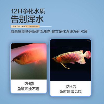 魚缸濾材品牌排行榜