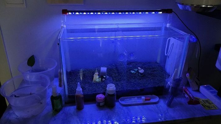 魚缸燈架有用嗎：如何安裝魚缸燈架，魚缸燈架裝飾效果