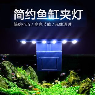 魚缸燈架有用嗎：如何安裝魚缸燈架，魚缸燈架裝飾效果