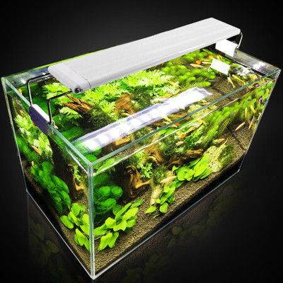 魚缸燈架有用嗎：如何安裝魚缸燈架，魚缸燈架裝飾效果