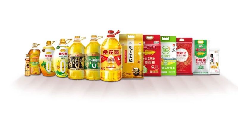 金龍魚廣告策劃方案設計