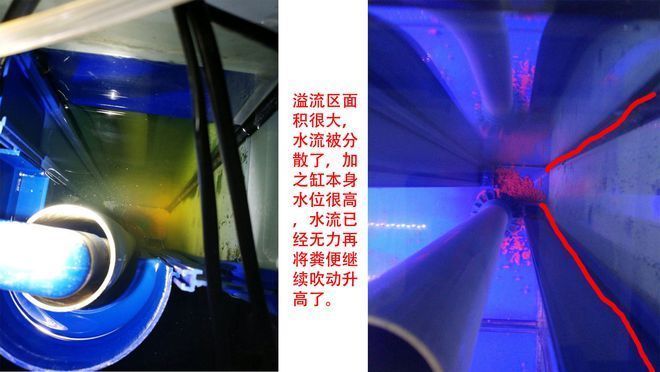 森森魚缸存便：森森魚缸溢流區(qū)存便問題可以通過多種措施解決