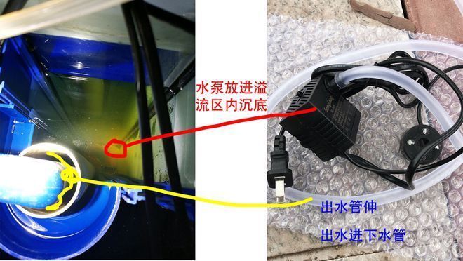 森森魚缸存便：森森魚缸溢流區(qū)存便問題可以通過多種措施解決