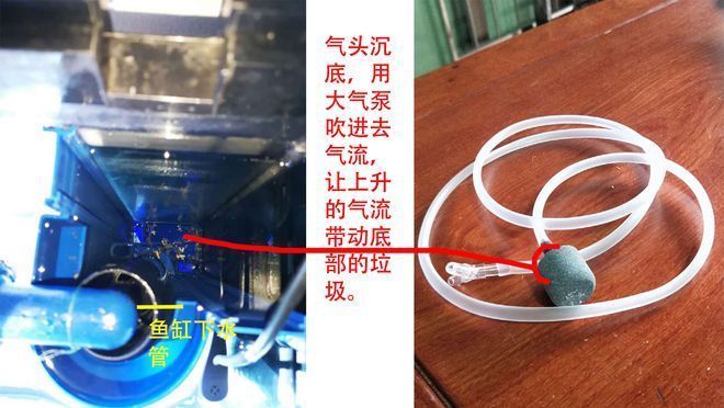 森森魚缸存便：森森魚缸溢流區(qū)存便問題可以通過多種措施解決