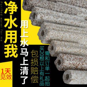 龍魚只要配什么過濾材：龍魚的魚缸過濾系統是確保水質清潔和穩定關鍵的關鍵