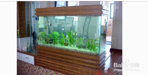 魚缸魚眼發白怎么辦，如何預防魚眼發白魚缸水質檢測方法