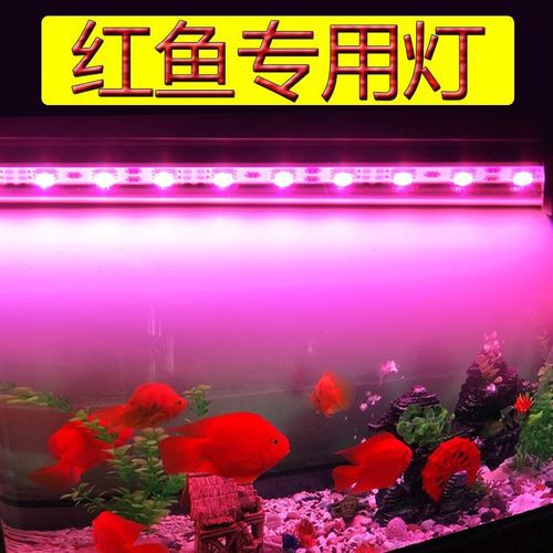 紅龍燈具哪個(gè)品牌最好