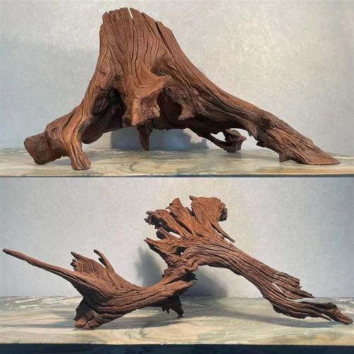 養(yǎng)龍魚用沉木到底好不好呢圖片