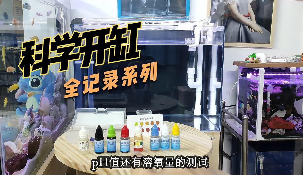 如何檢測魚缸溶解氧：如何檢測魚缸中的溶解氧