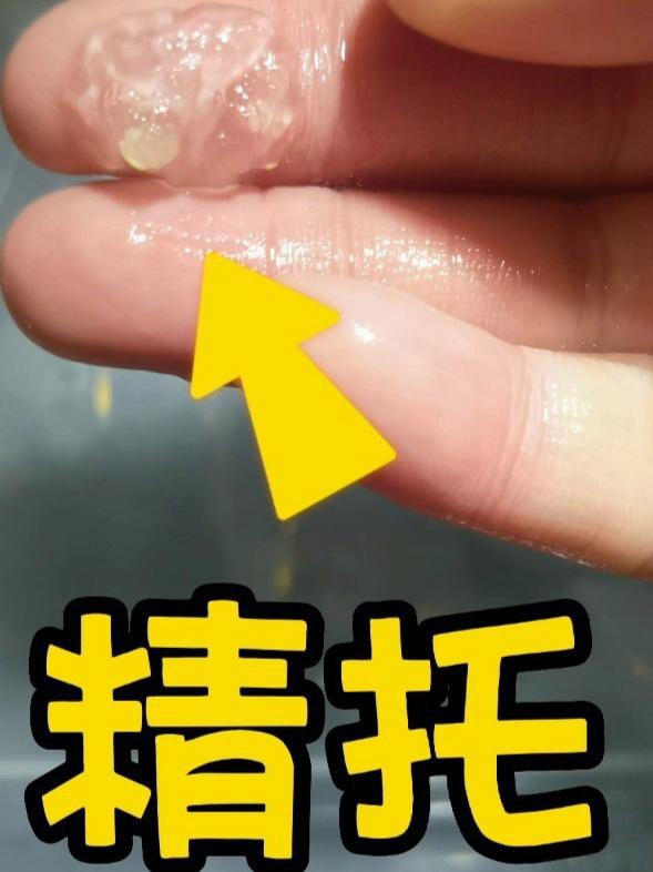 六角龍魚繁殖季節(jié)是什么時(shí)候？