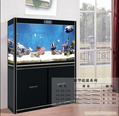 清洗底濾魚缸的方法：如何清洗底濾魚缸