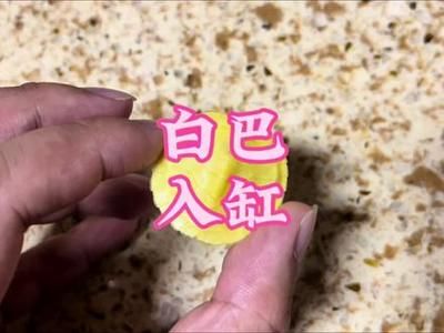 小米魚缸養龜：關于小米魚缸養龜的視頻網站介紹