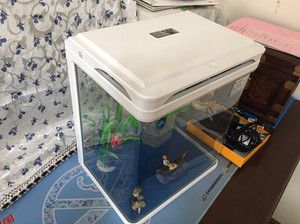 佳美q3-400 魚缸：佳美q3-400魚缸怎么樣